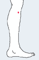 つわりのツボ足の三里